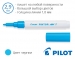 Незмивні маркери для малювання Pilot Pintor SW-PT-F (товщина лінії 1,0 мм)