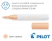 Незмивні маркери для малювання Pilot Pintor SW-PT-F (товщина лінії 1,0 мм)