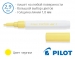 Незмивні маркери для малювання Pilot Pintor SW-PT-F (товщина лінії 1,0 мм)
