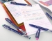 Маркер ручка стираюча Pilot FriXion Fineliner SW-FF за технологією "пиши - стирай" (товщина лінії 0,45 мм)